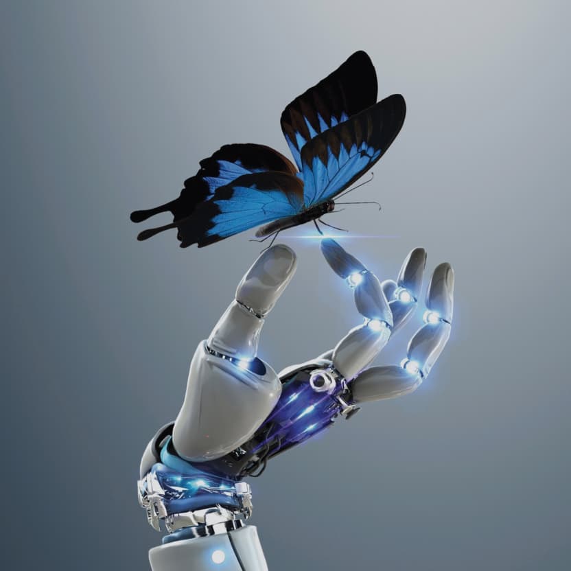 EY Belgium Card Image